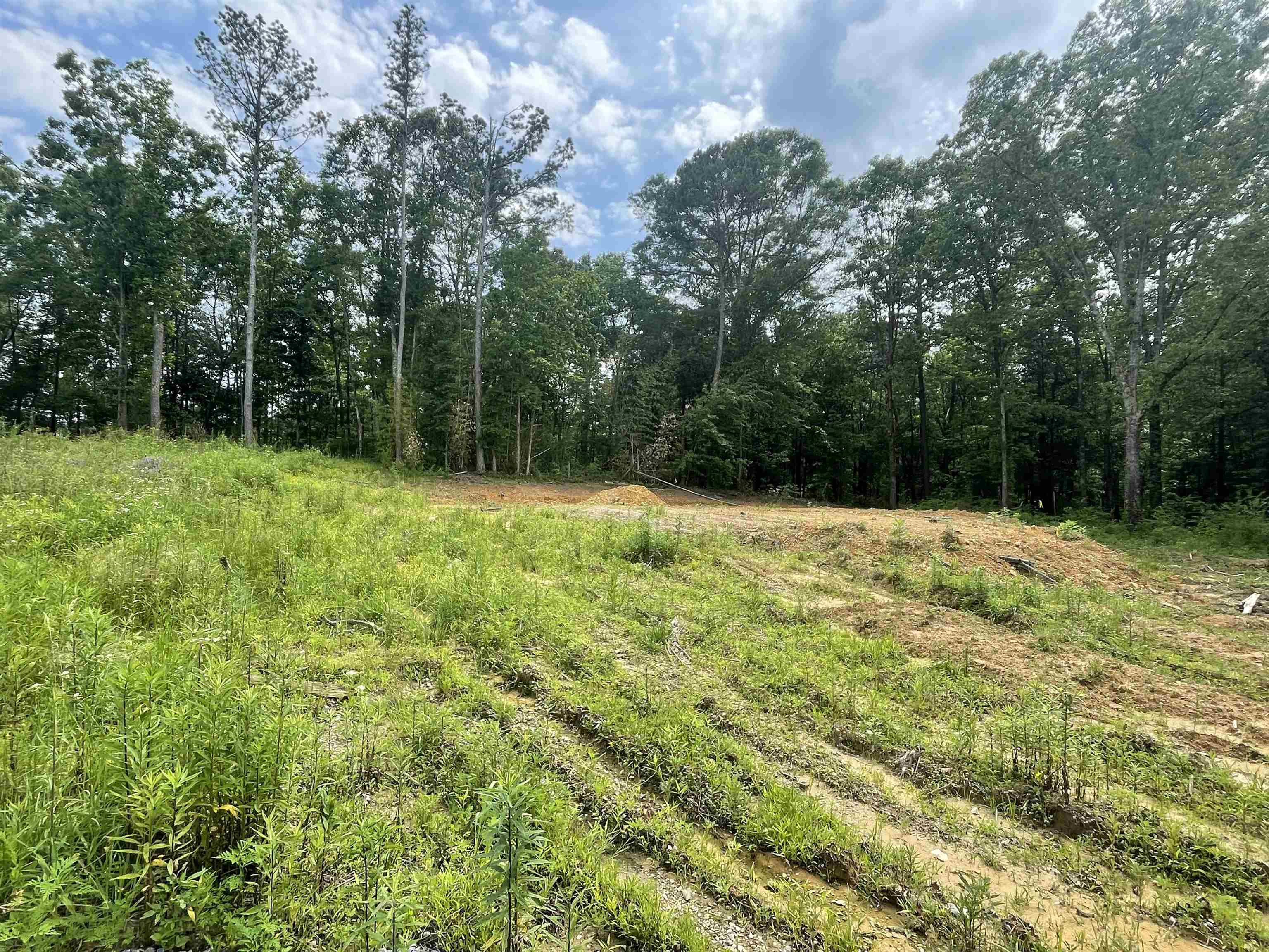 251 Co Rd 1545