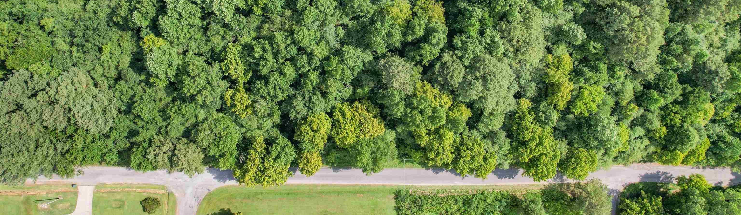 290 Co Rd 1123