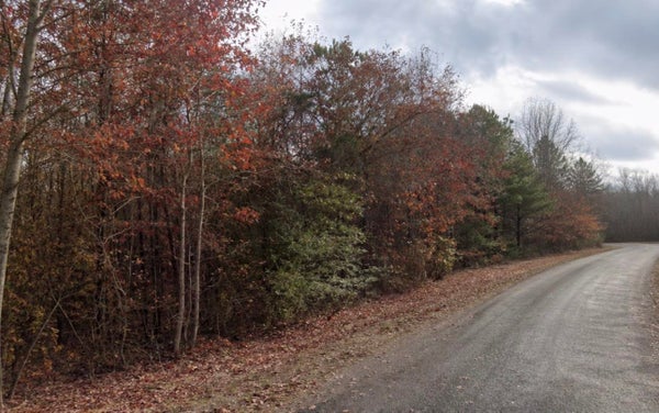 SANDUSKY RD, PHIL CAMPBELL, AL 35581 - Image b55df92d702d94d7798d68303510219e/3159934525
