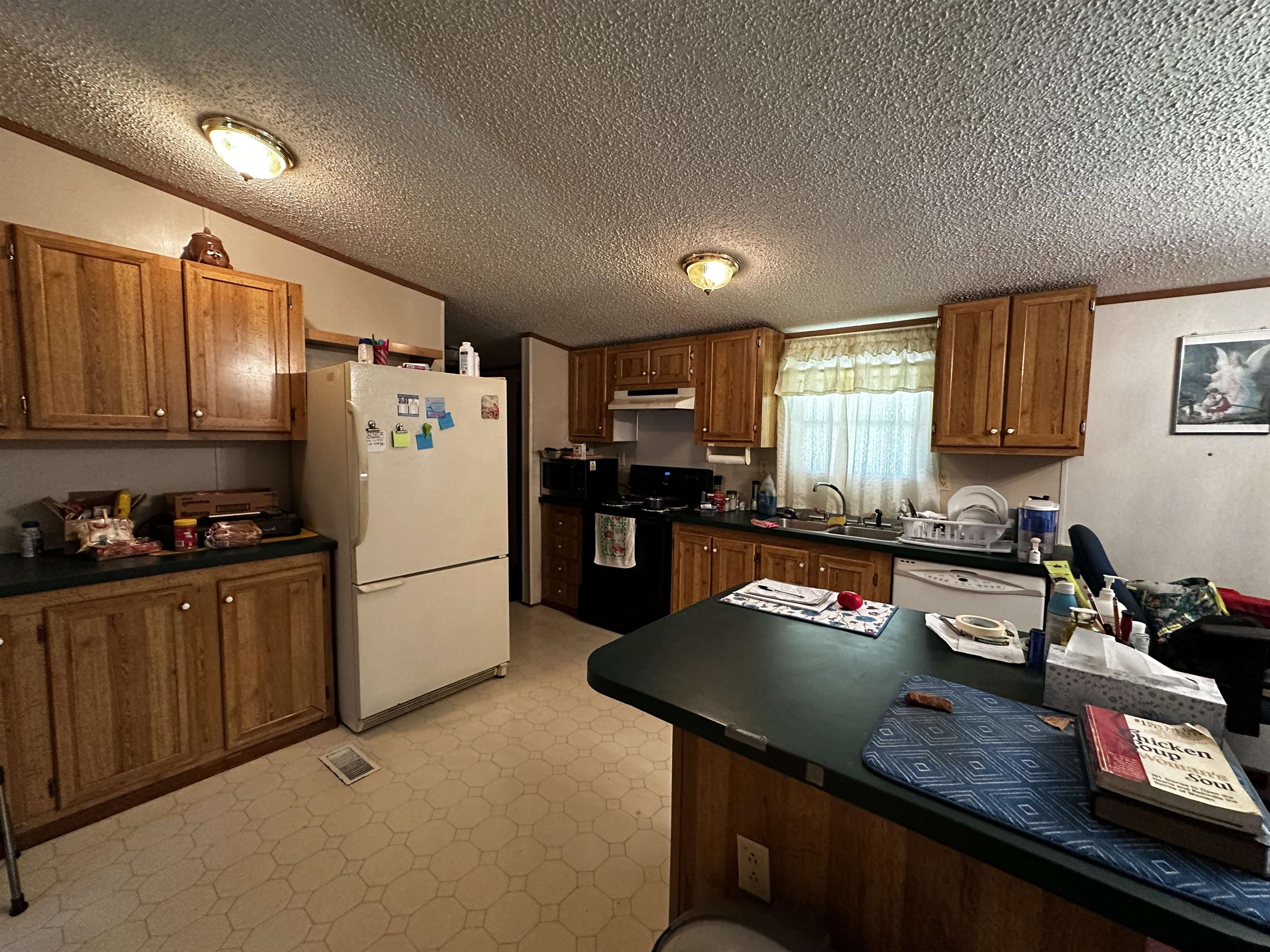 259 Stephanie Dr