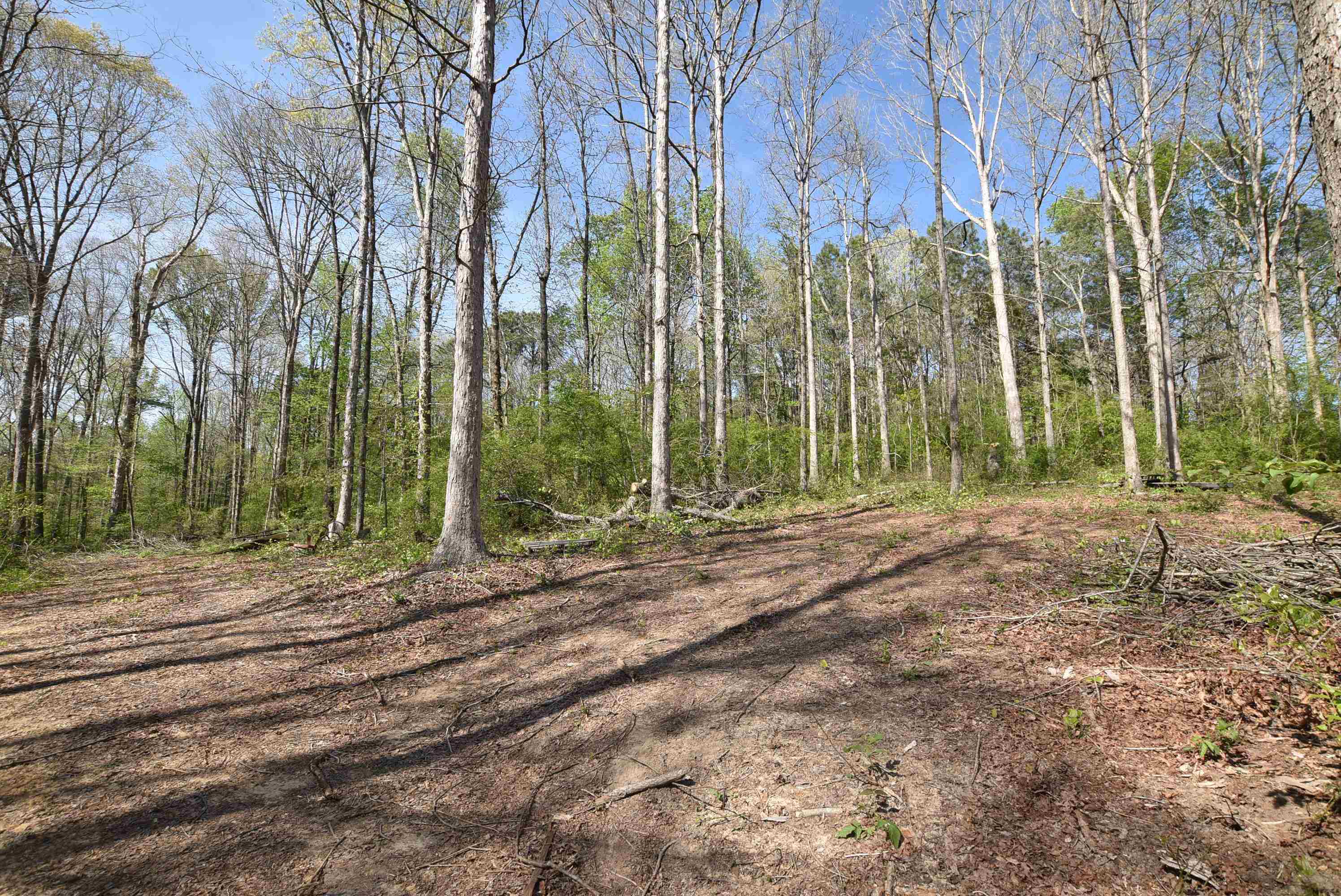 611 Co Rd 1568