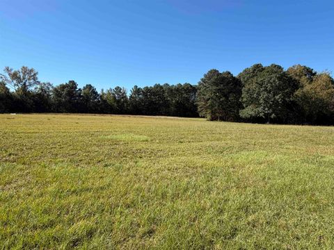 525 Mize Rd tract 1A Cullman AL