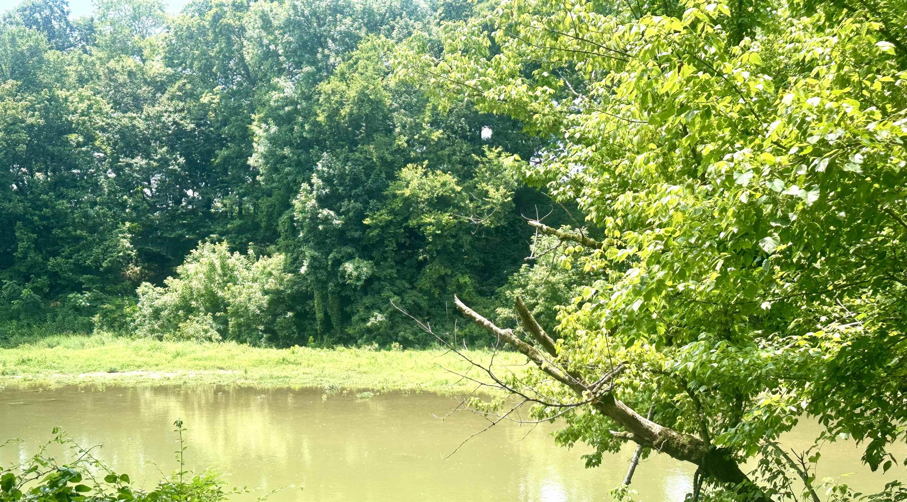 202 Garrett Rd - Photo 4