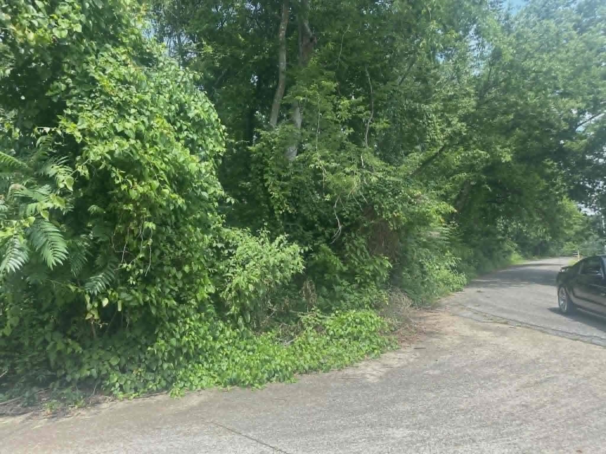 0 N Dabney Ln - Photo 2