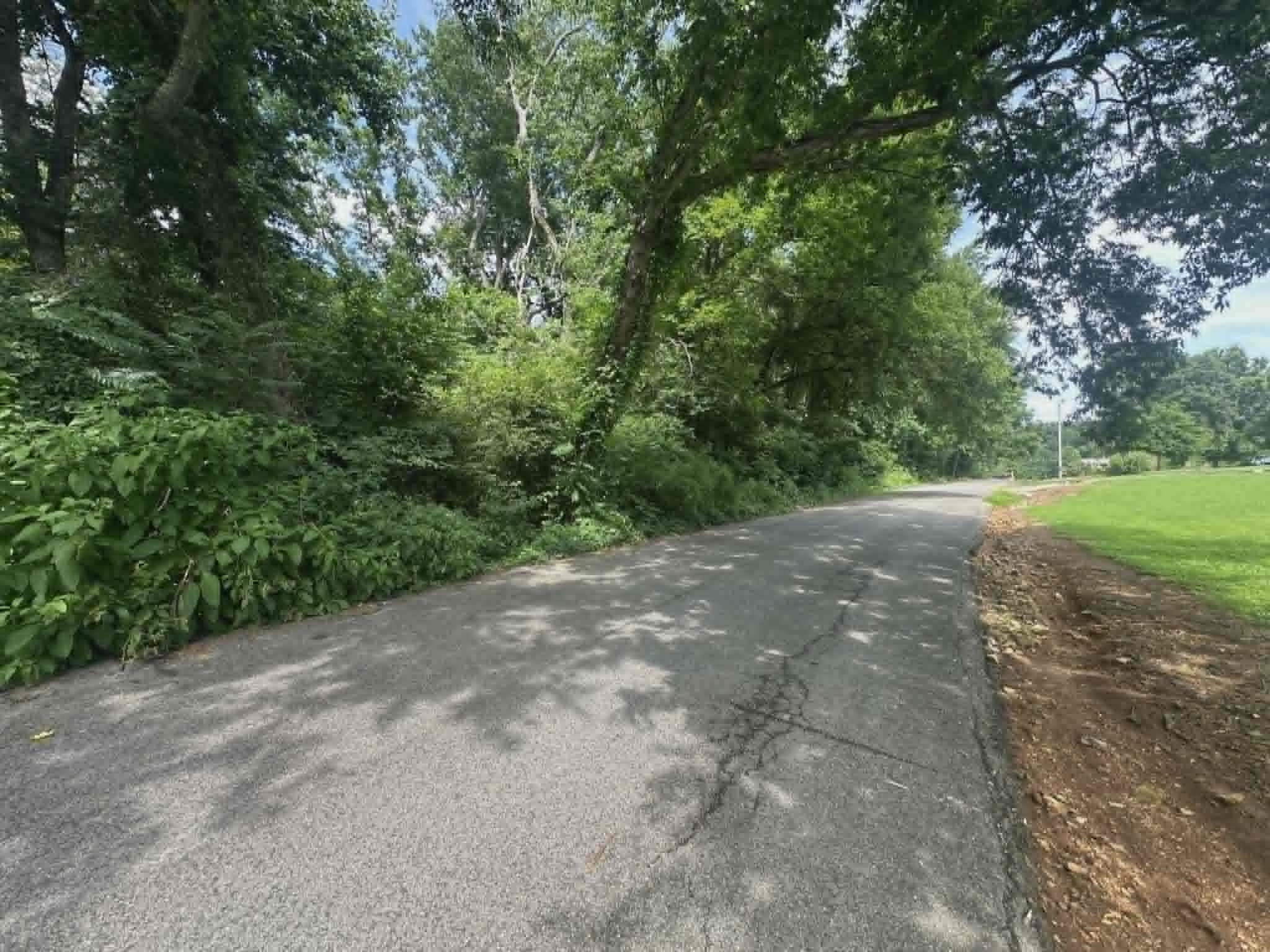 0 N Dabney Ln - Photo 3