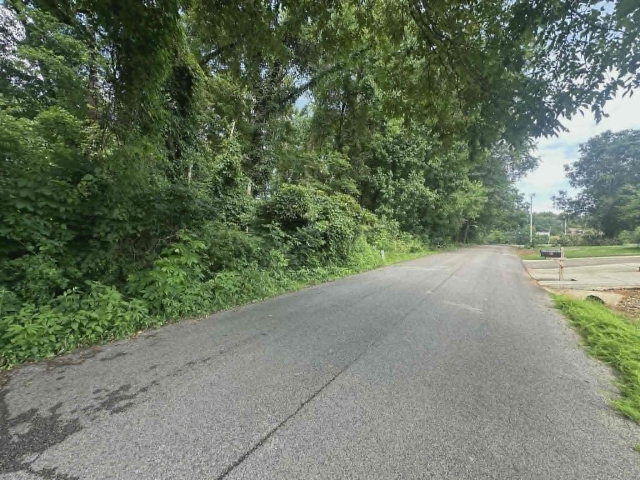0 N Dabney Ln - Photo 4