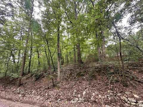 LOT 24 Oakhill Dr Cullman AL 