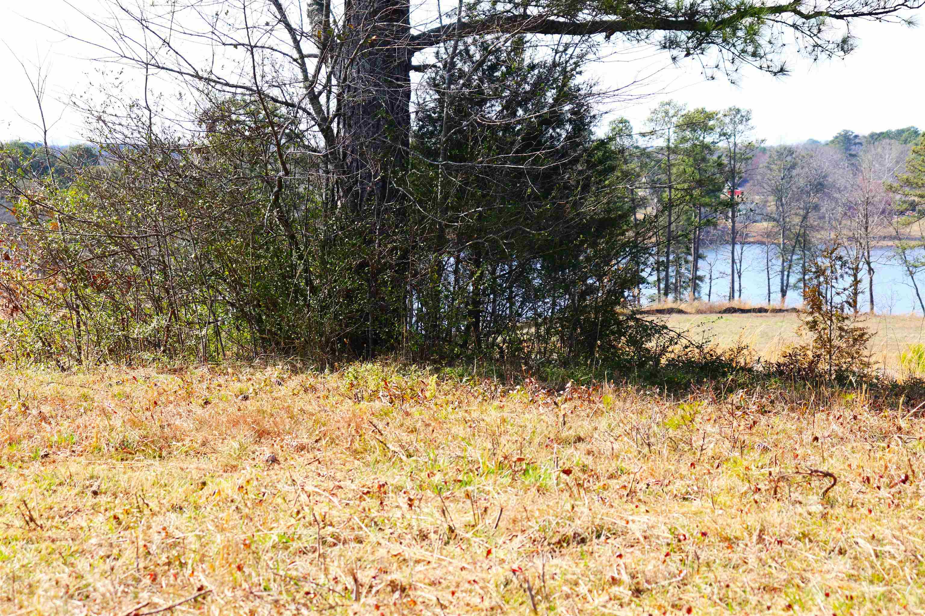 9 acres +/-, 0 Co Rd 1464