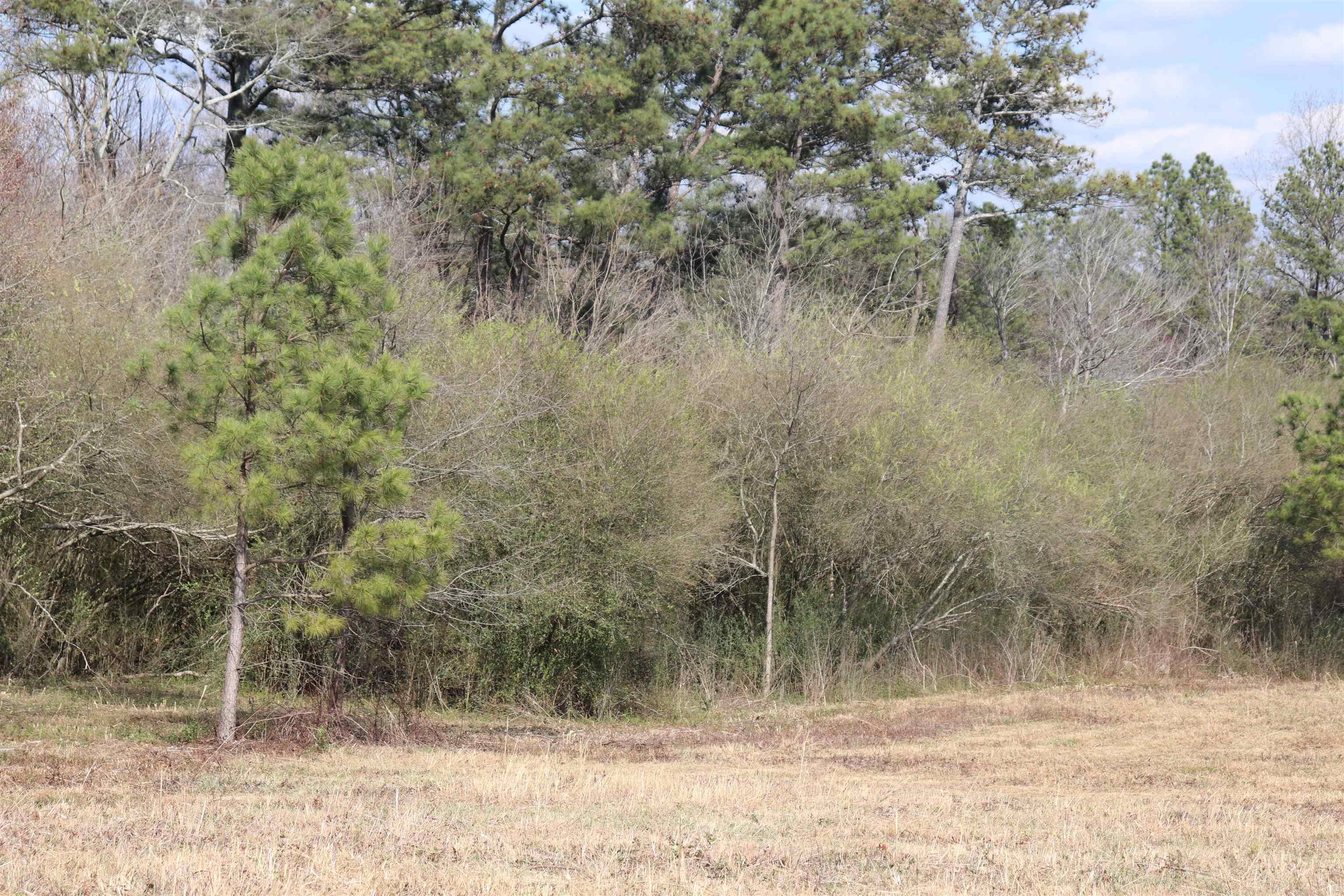 9 acres +/-, 0 Co Rd 1464