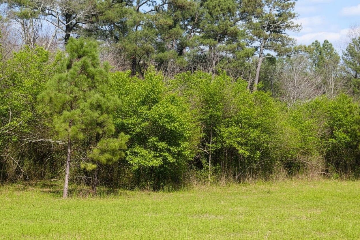 9 acres +/-, 0 Co Rd 1464