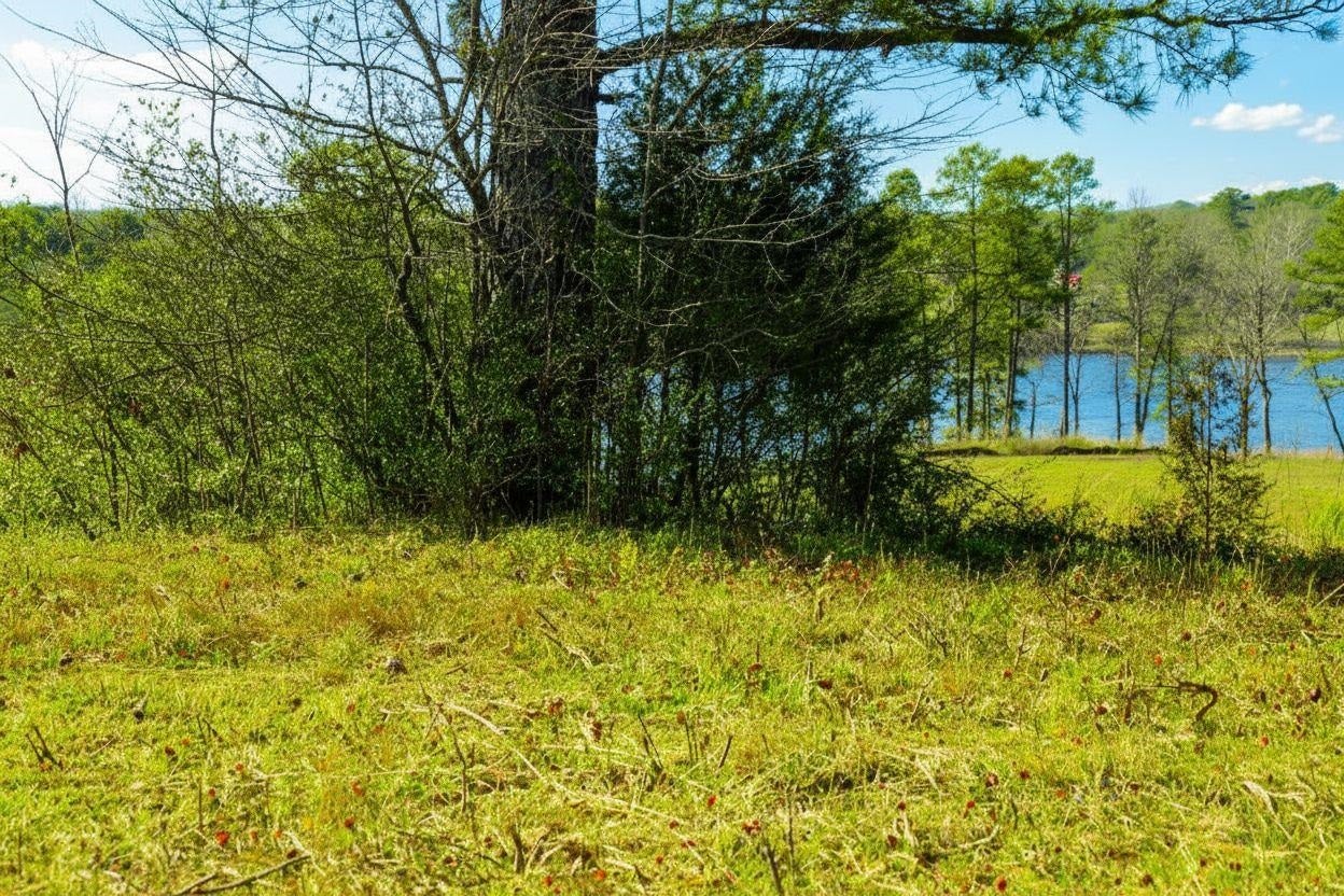 9 acres +/-, 0 Co Rd 1464