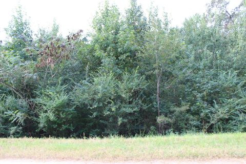 0 Co Rd 451 Cullman AL 