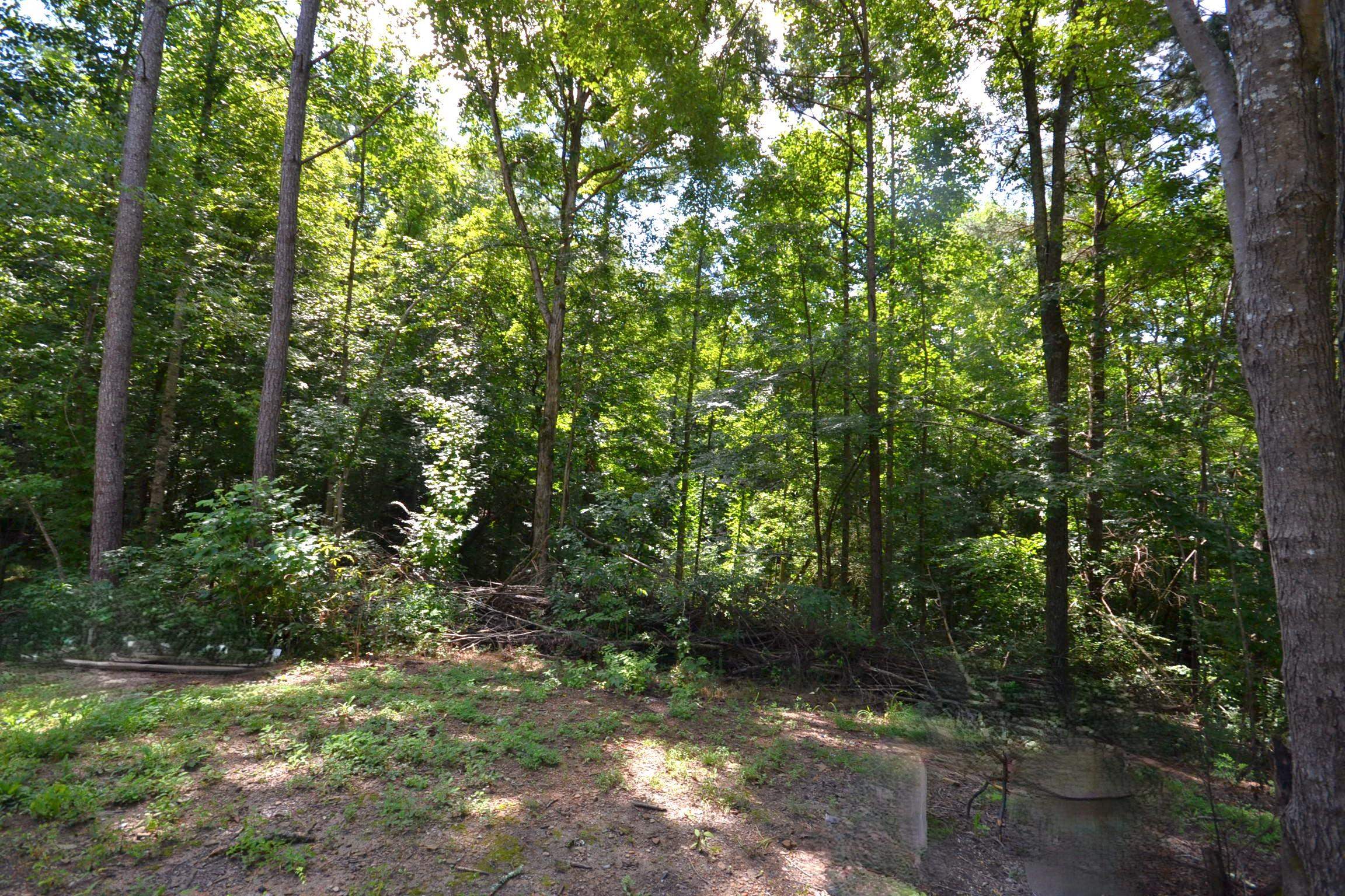 659 Co Rd 935