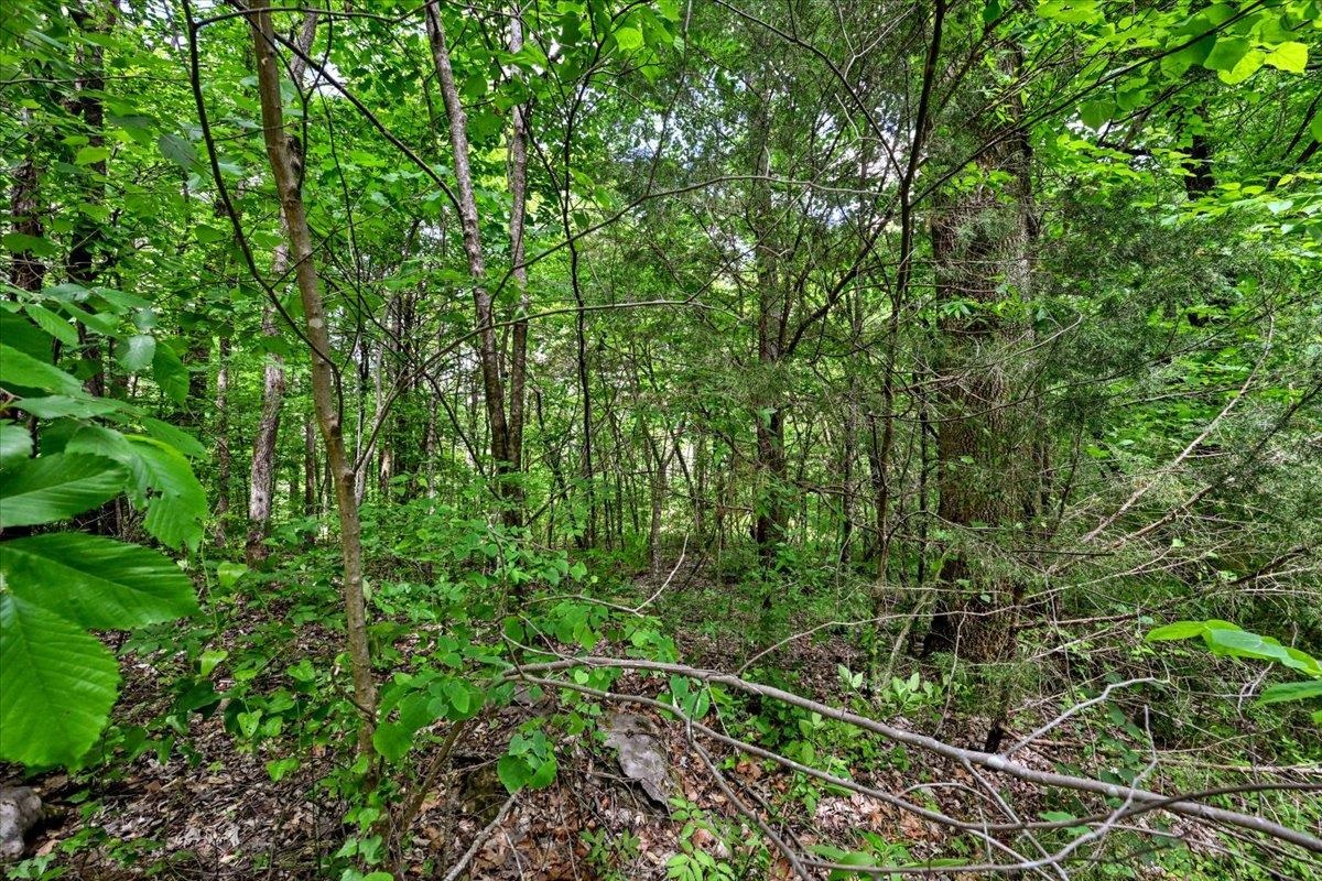 Lot 9 Mill Creek Rd