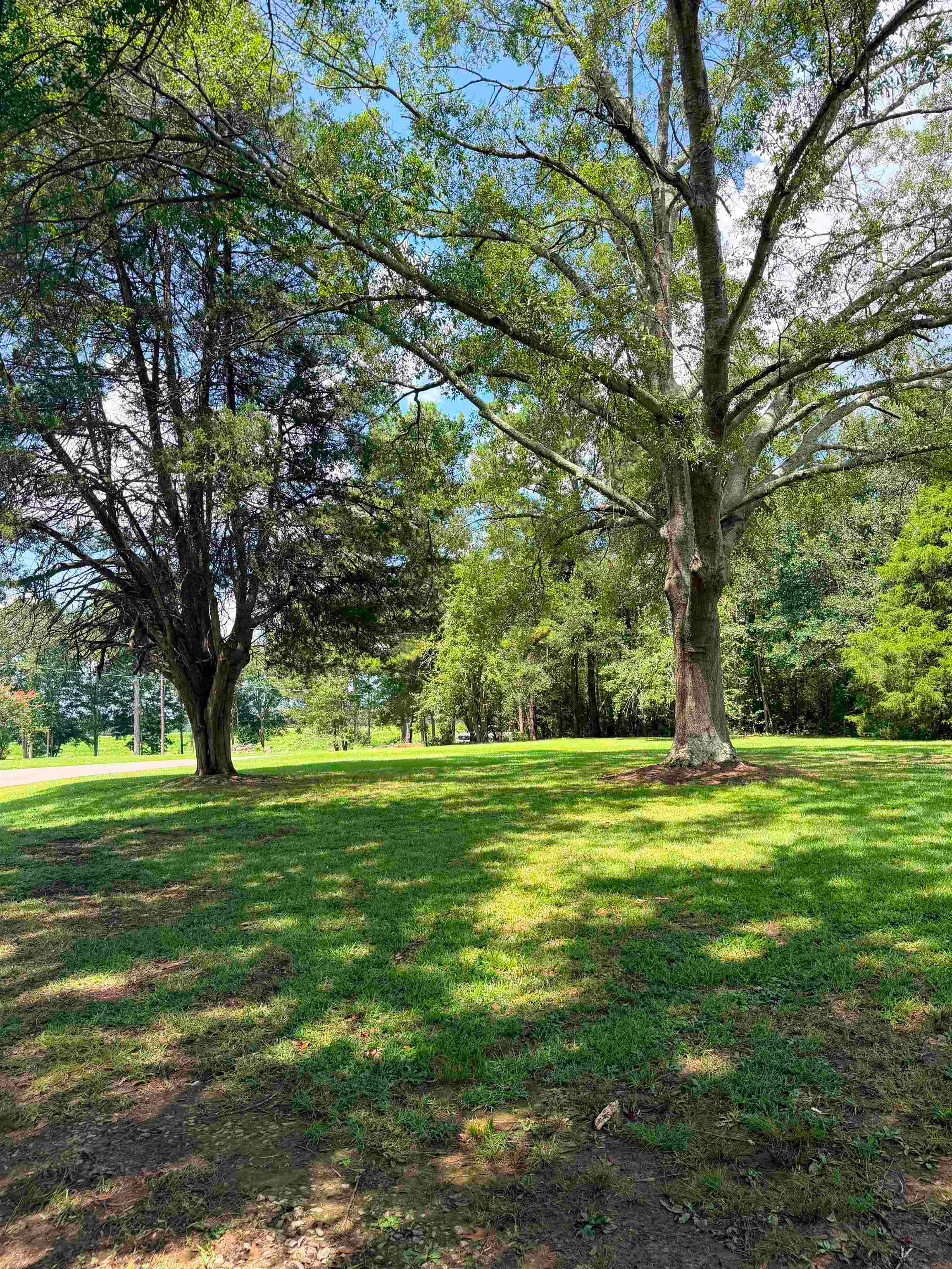 11861 Co Rd 747