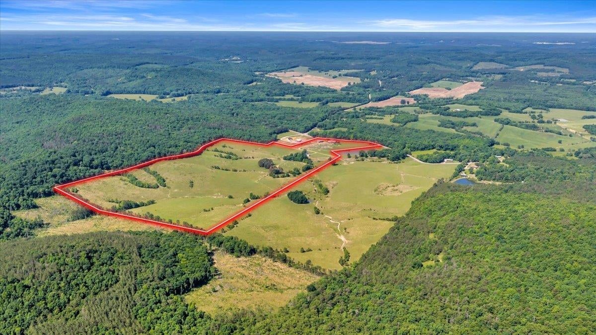 89 White Pike