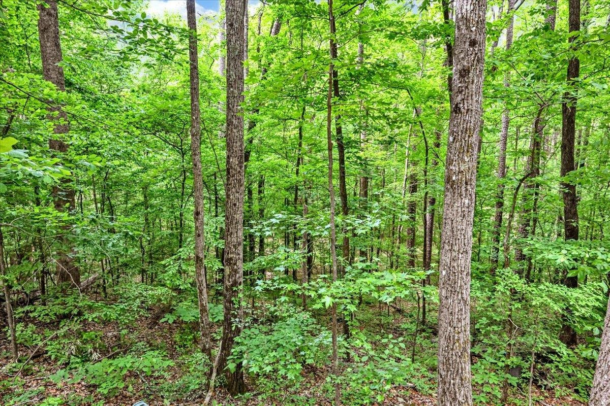 Lot 13 Mill Creek Rd