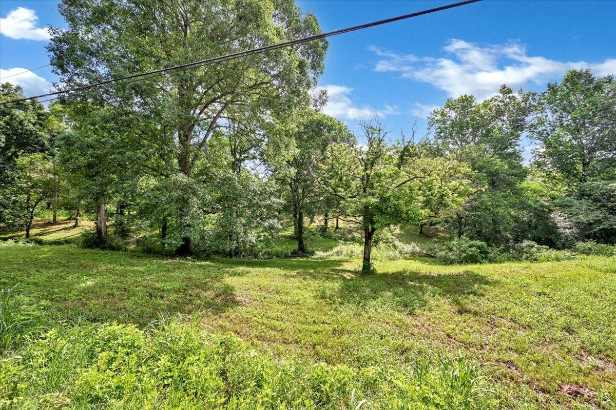 415 Co Rd 1413