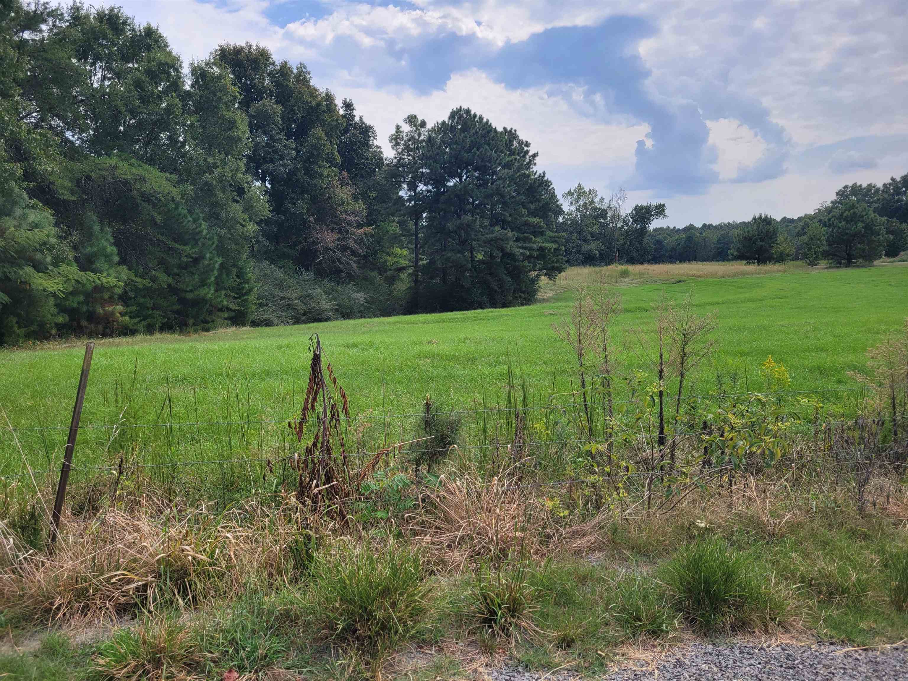 0 Co Rd 1079