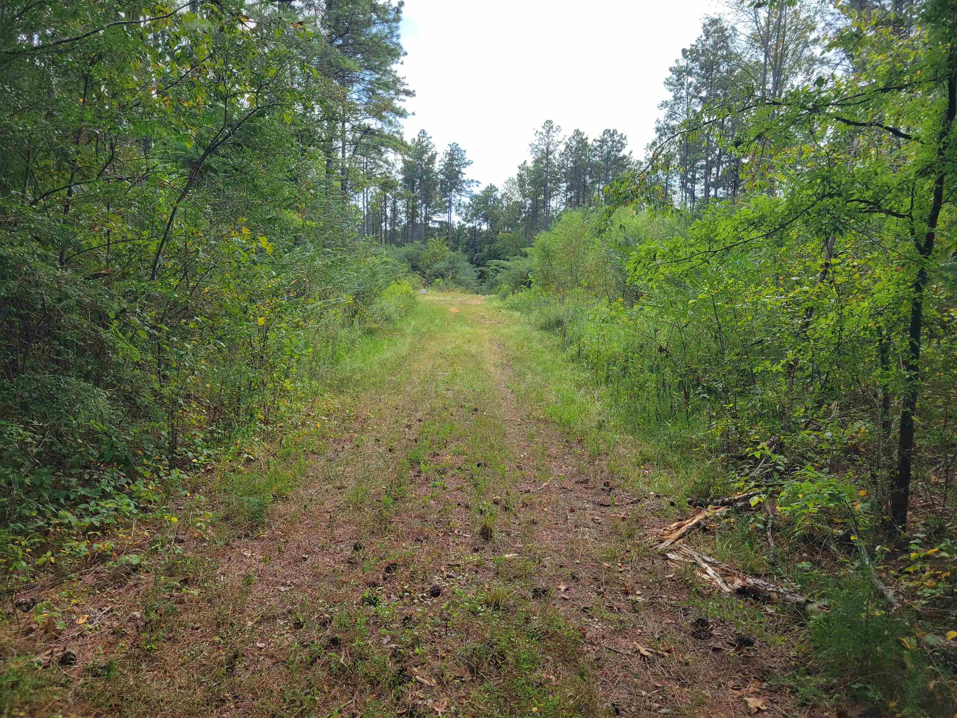 0 Co Rd 1079