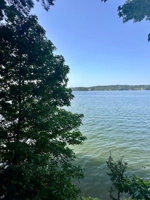 PARADISE DR, WATERLOO, AL 35677 - Image ccf5bca9bf413b389334f4b2cab5354b/801775591