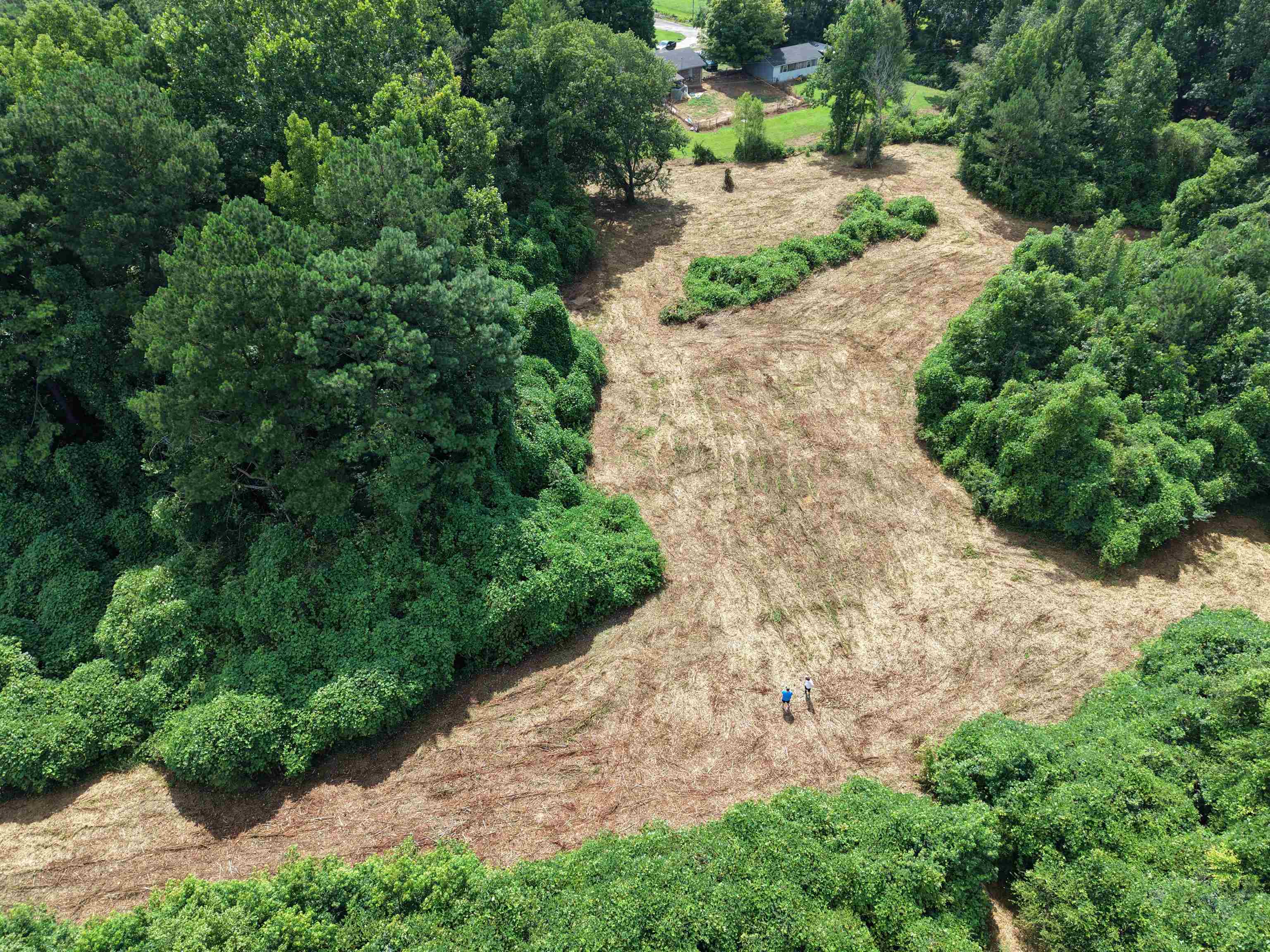 398 Oak Ridge Drive - Photo 4