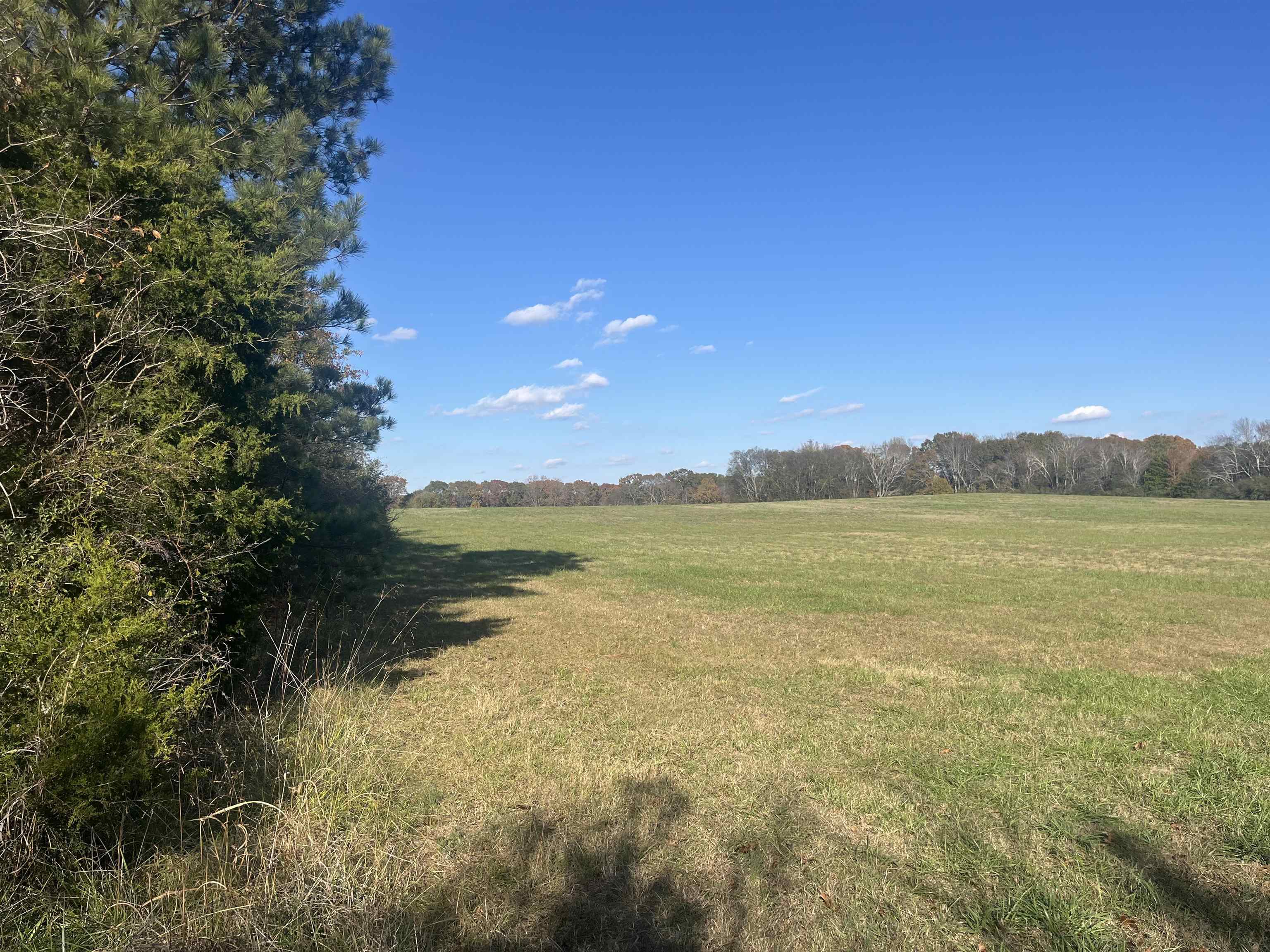 Photo 1 of 5 — 0 Wallace Mill Rd, Muscle Shoals, AL 35661