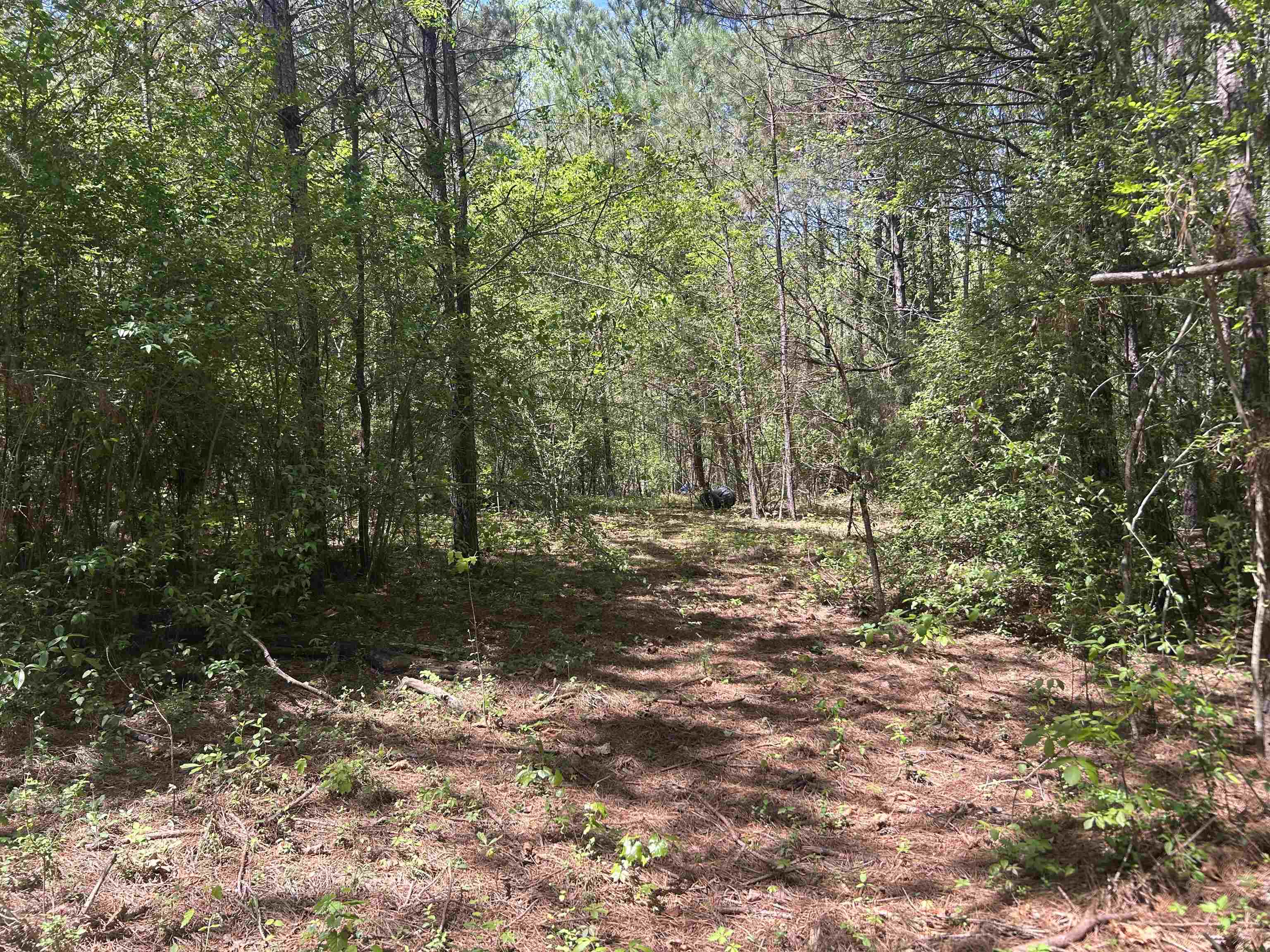 Lot 1 & 2 Pine Cir
