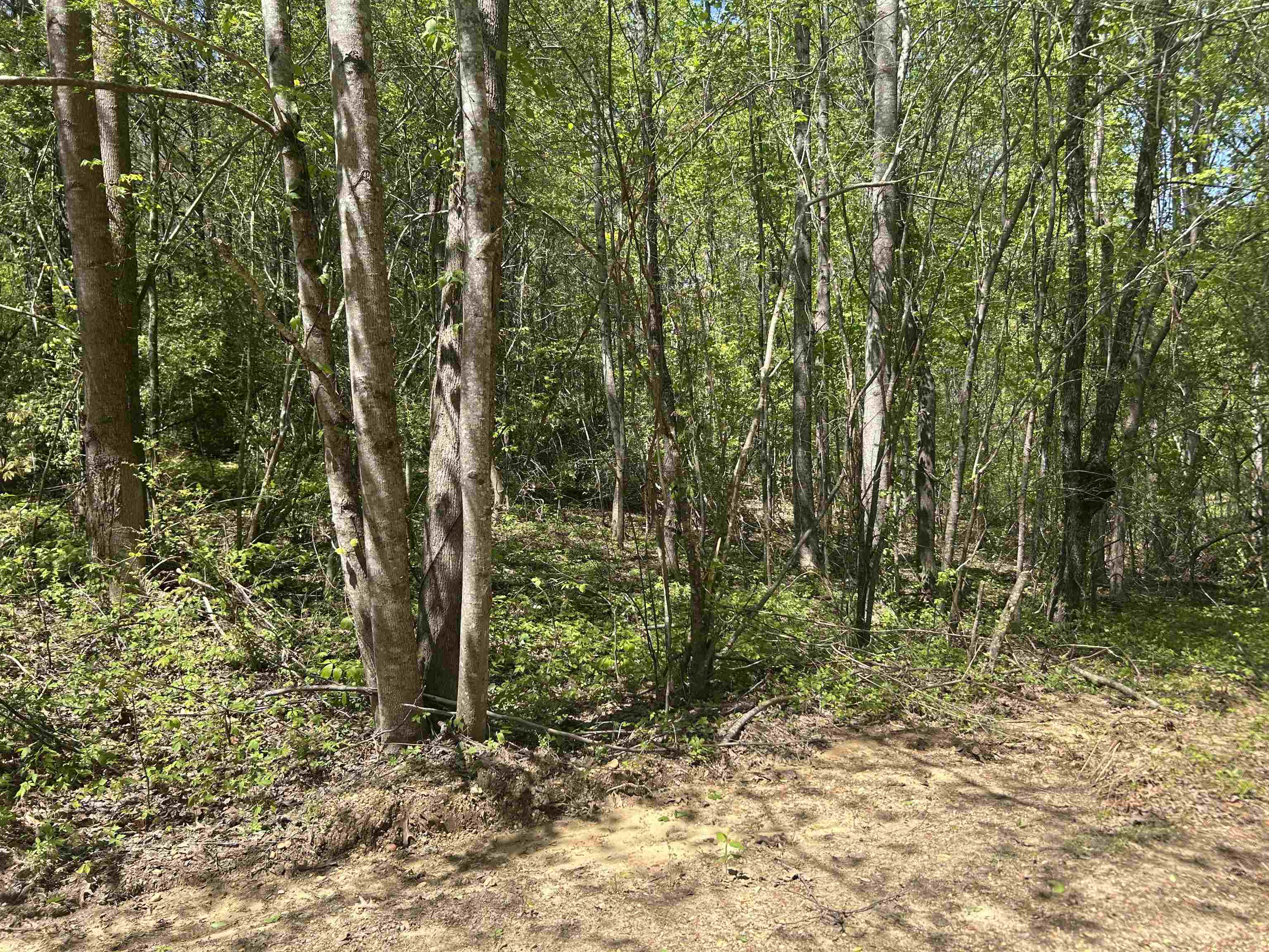 Lot 1 & 2 Pine Cir