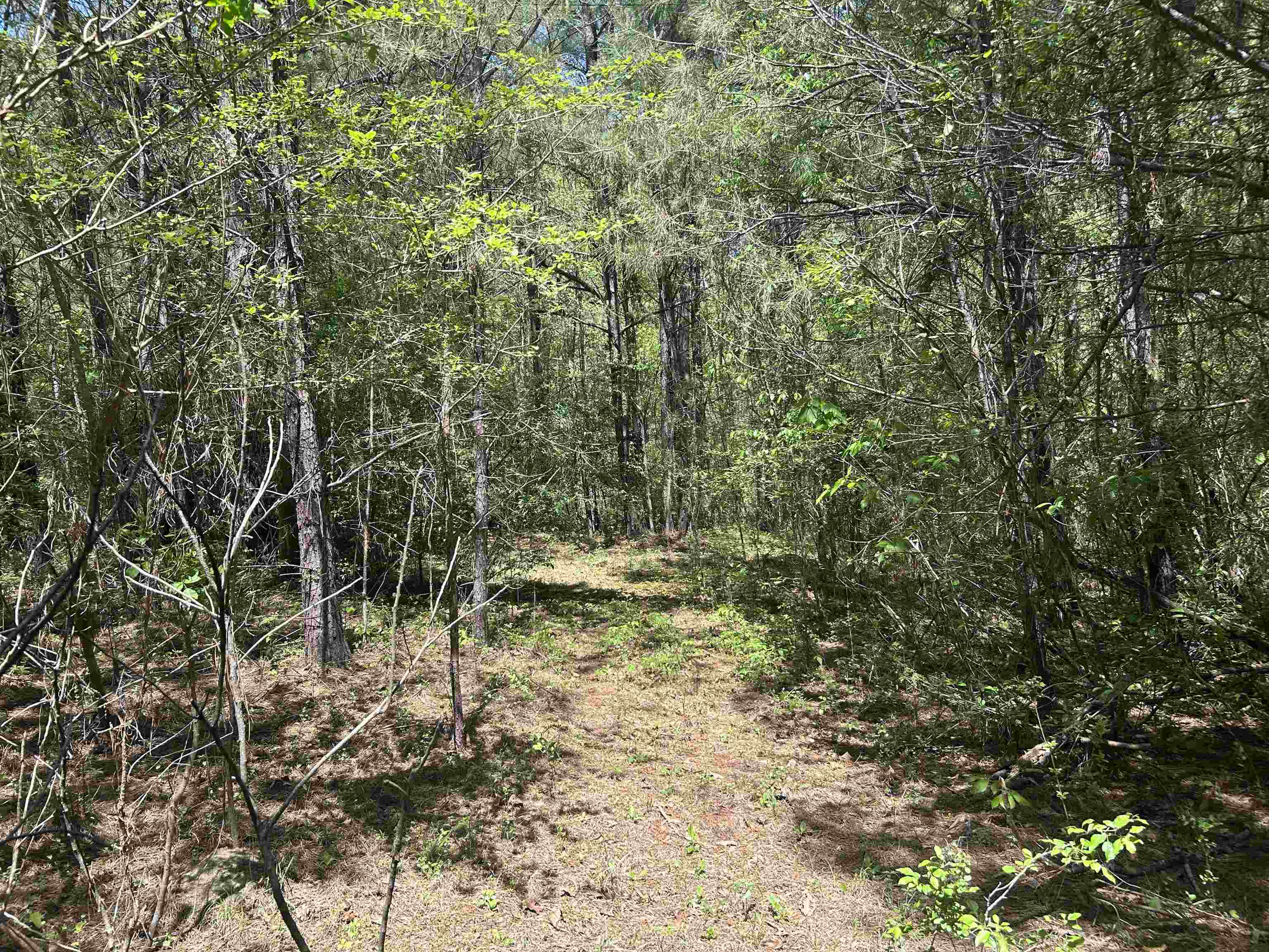 Lot 1 & 2 Pine Cir
