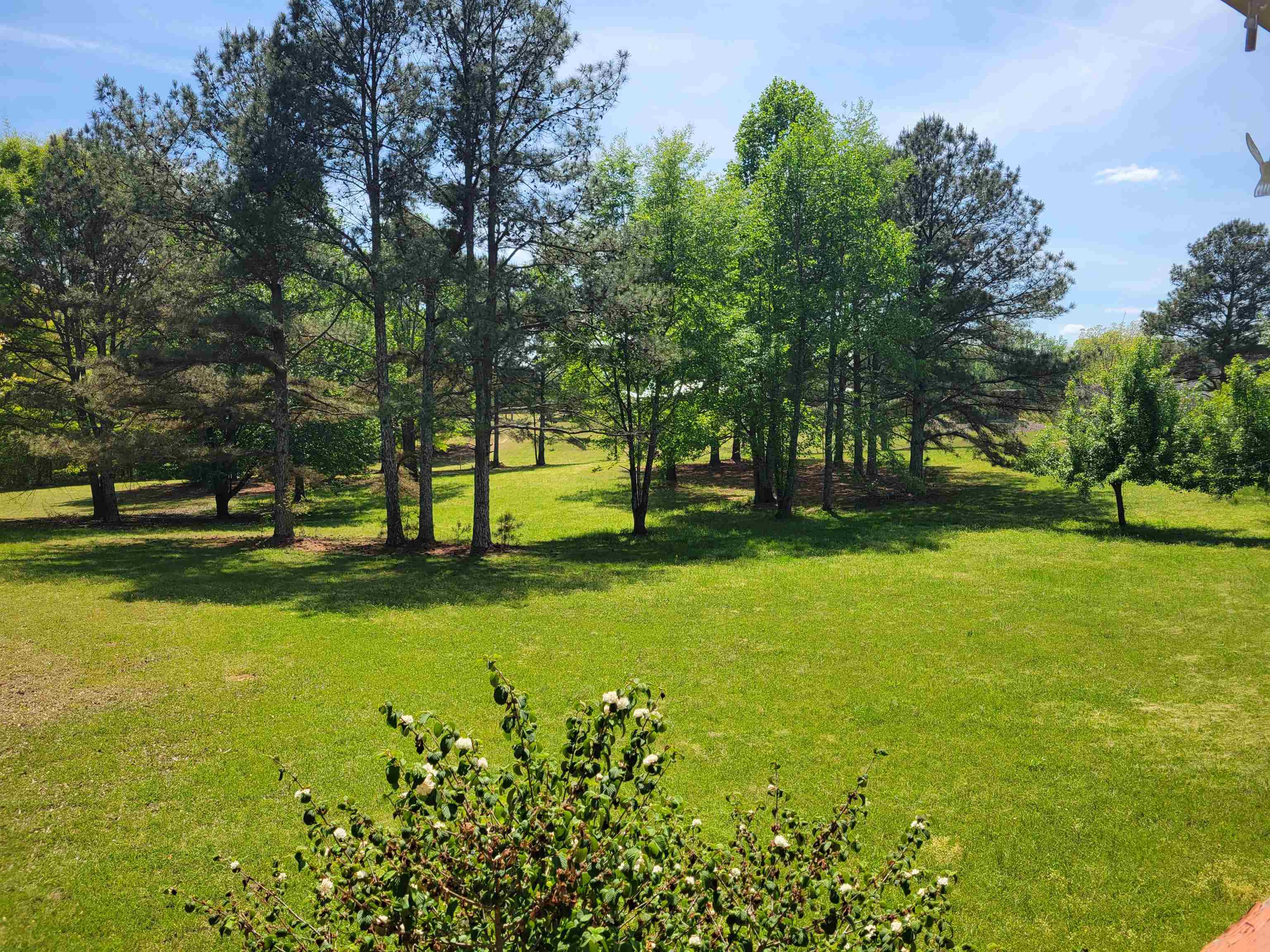 9050 Co Rd 222