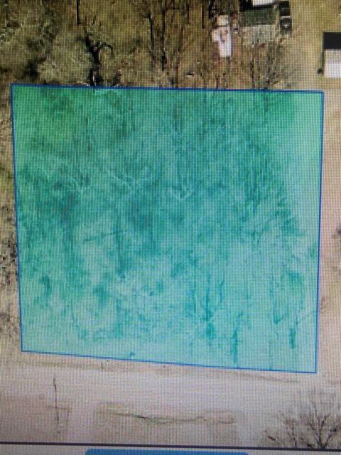 0 Co Rd 818 Logan AL 35098