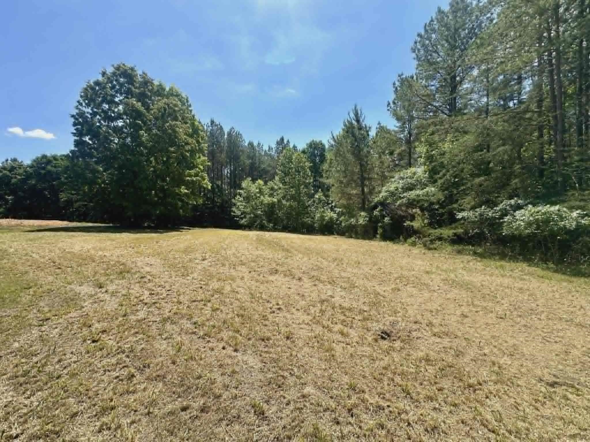 2626 Co Rd 298 - Photo 4