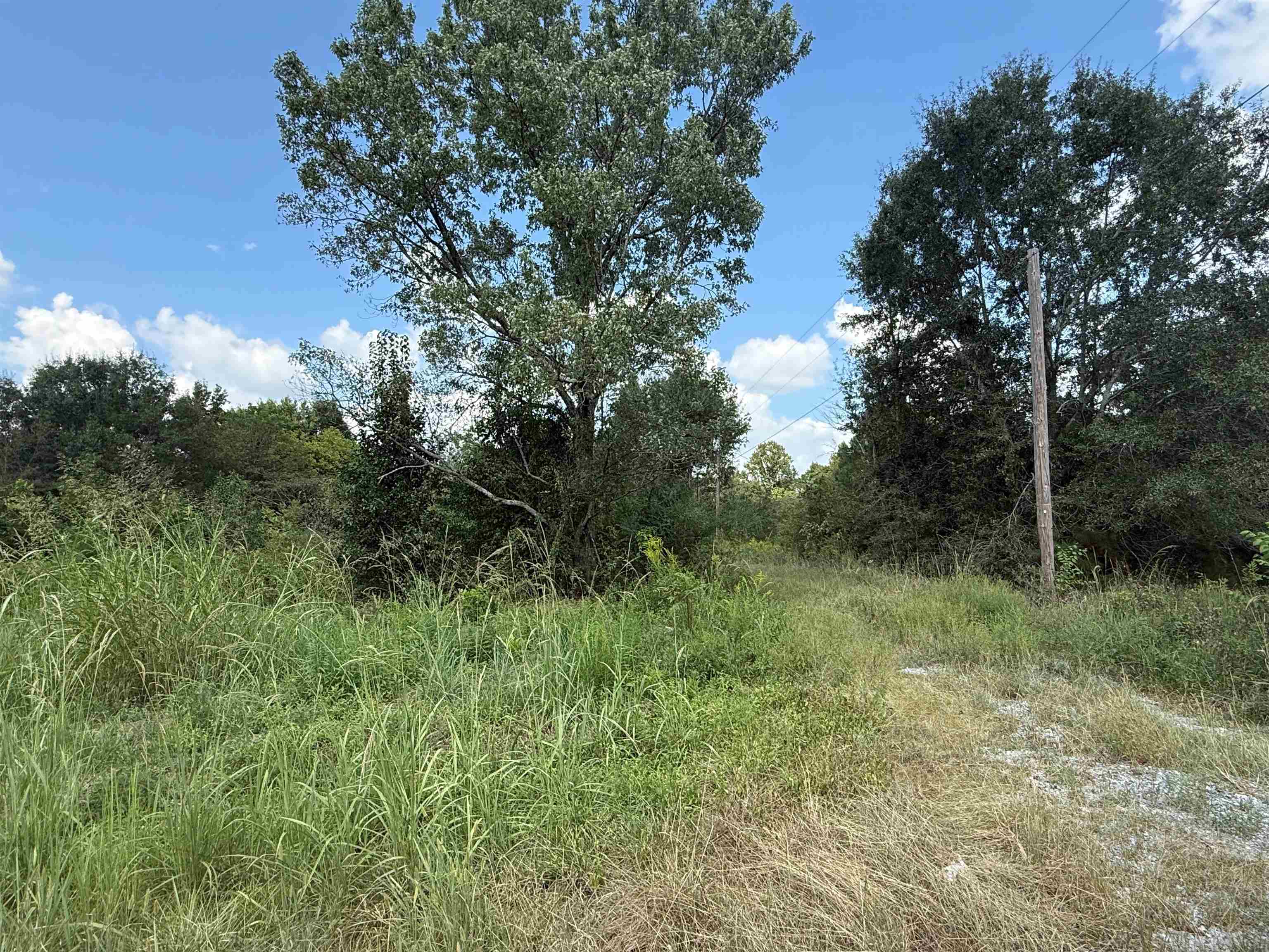 4.6 acres Hwy 278