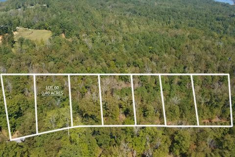 Lot 60 Peninsula Dr Houston AL