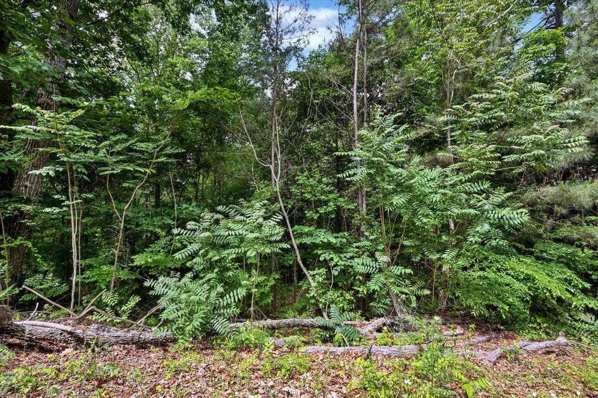 Lot 11 Mill Creek Rd