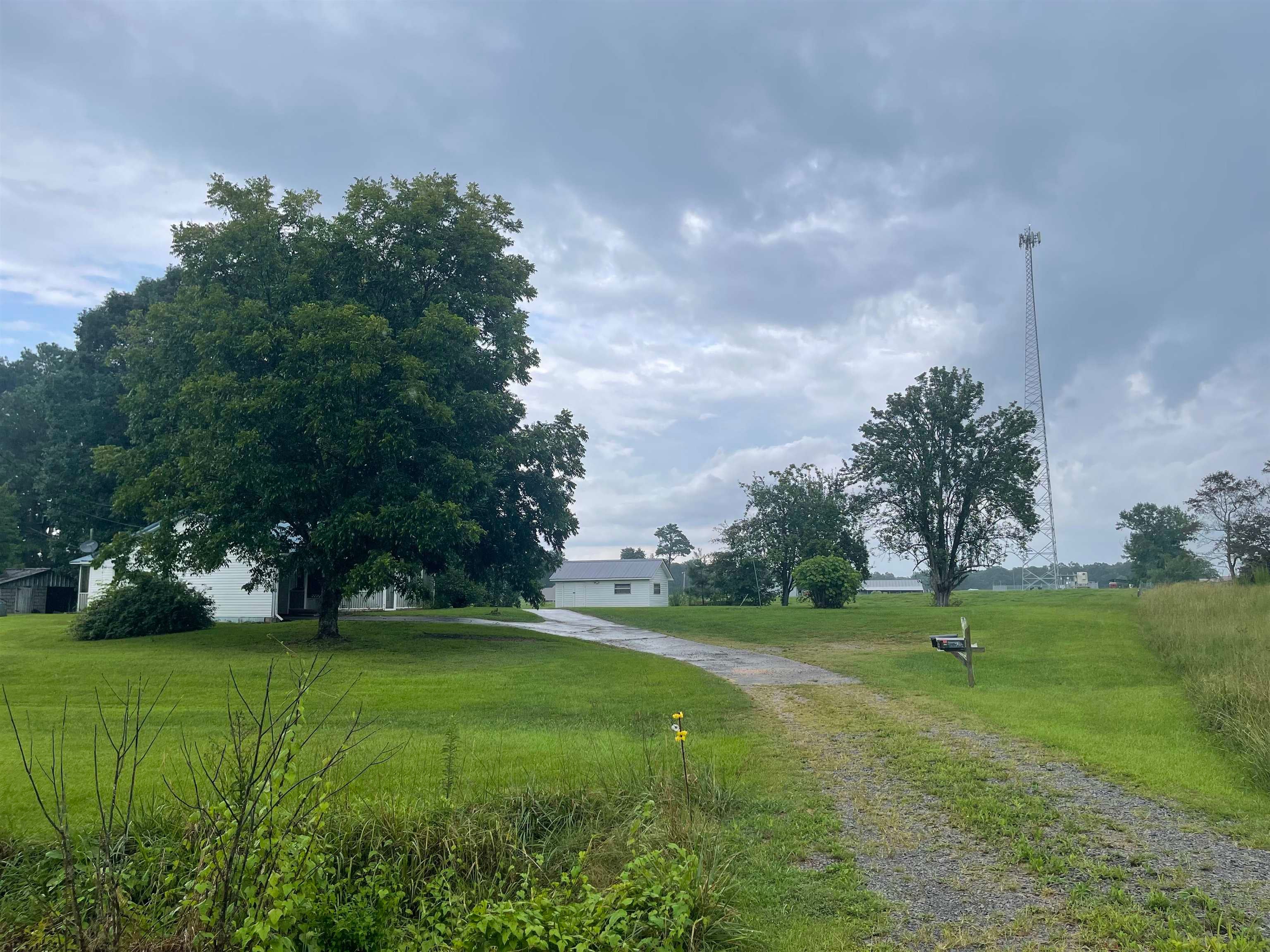 159 Co Rd 1479