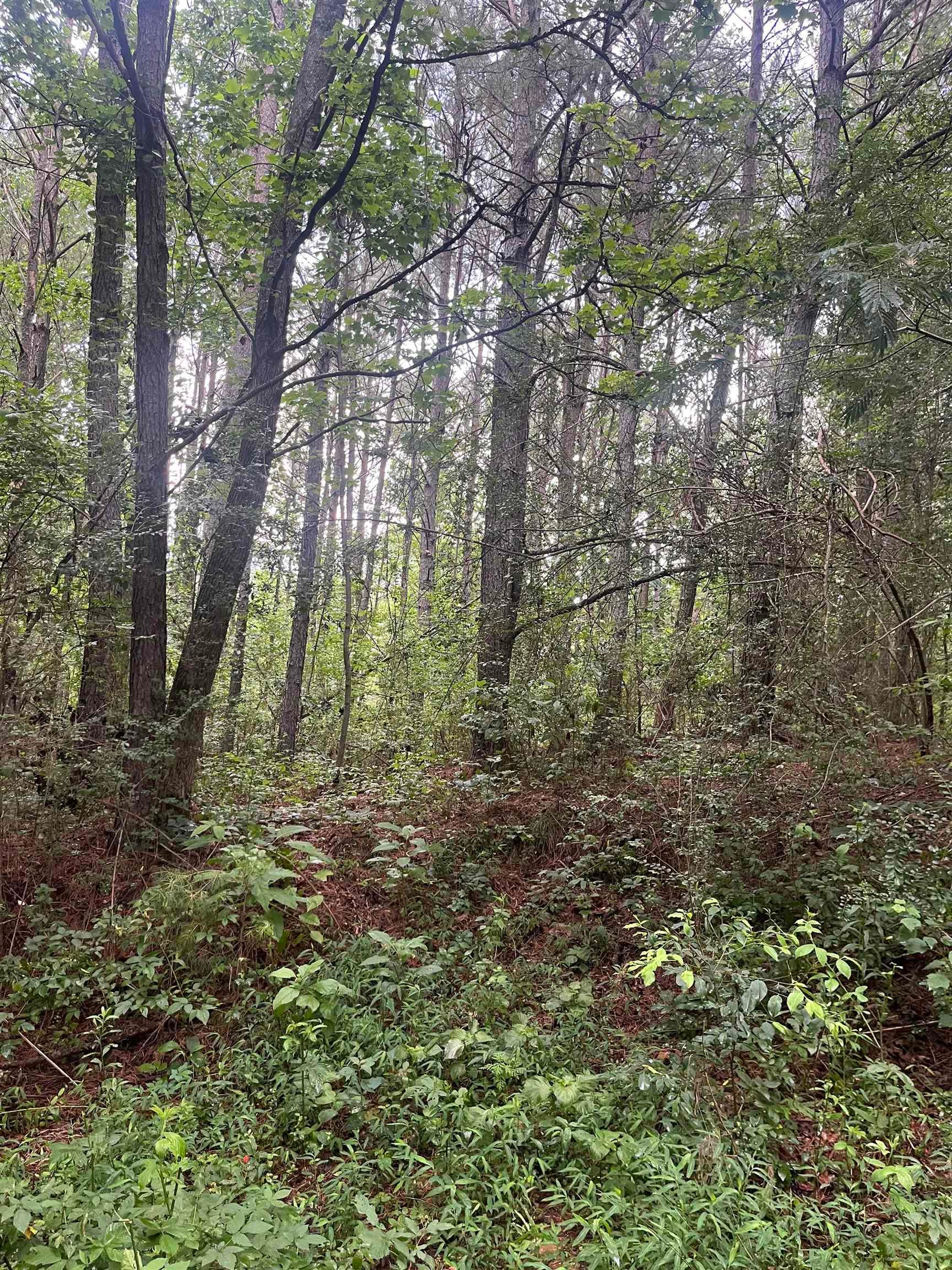179 Co Rd 939