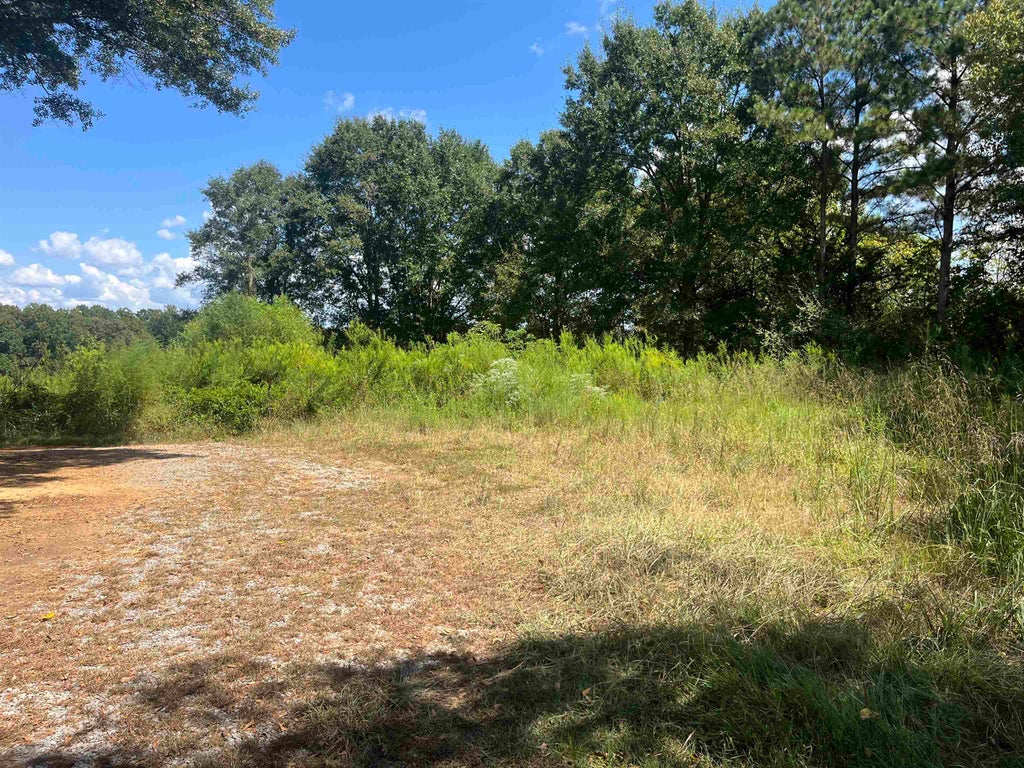Photo of 8957 Co Rd 747, Cullman, AL 35055 (MLS # 531182)