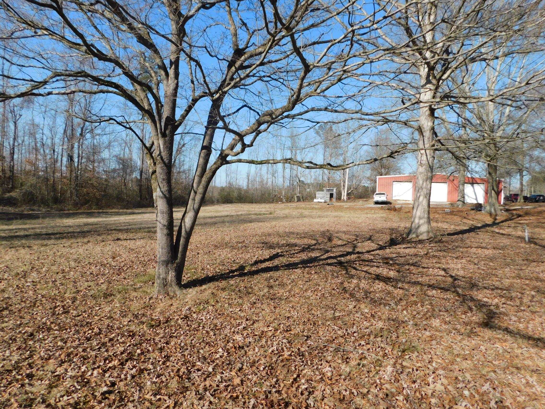 2825 Co Rd 1428