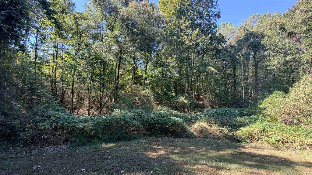Photo of 3494 Nix Rd, Phil Campbell, AL 35581 (MLS # 531762)