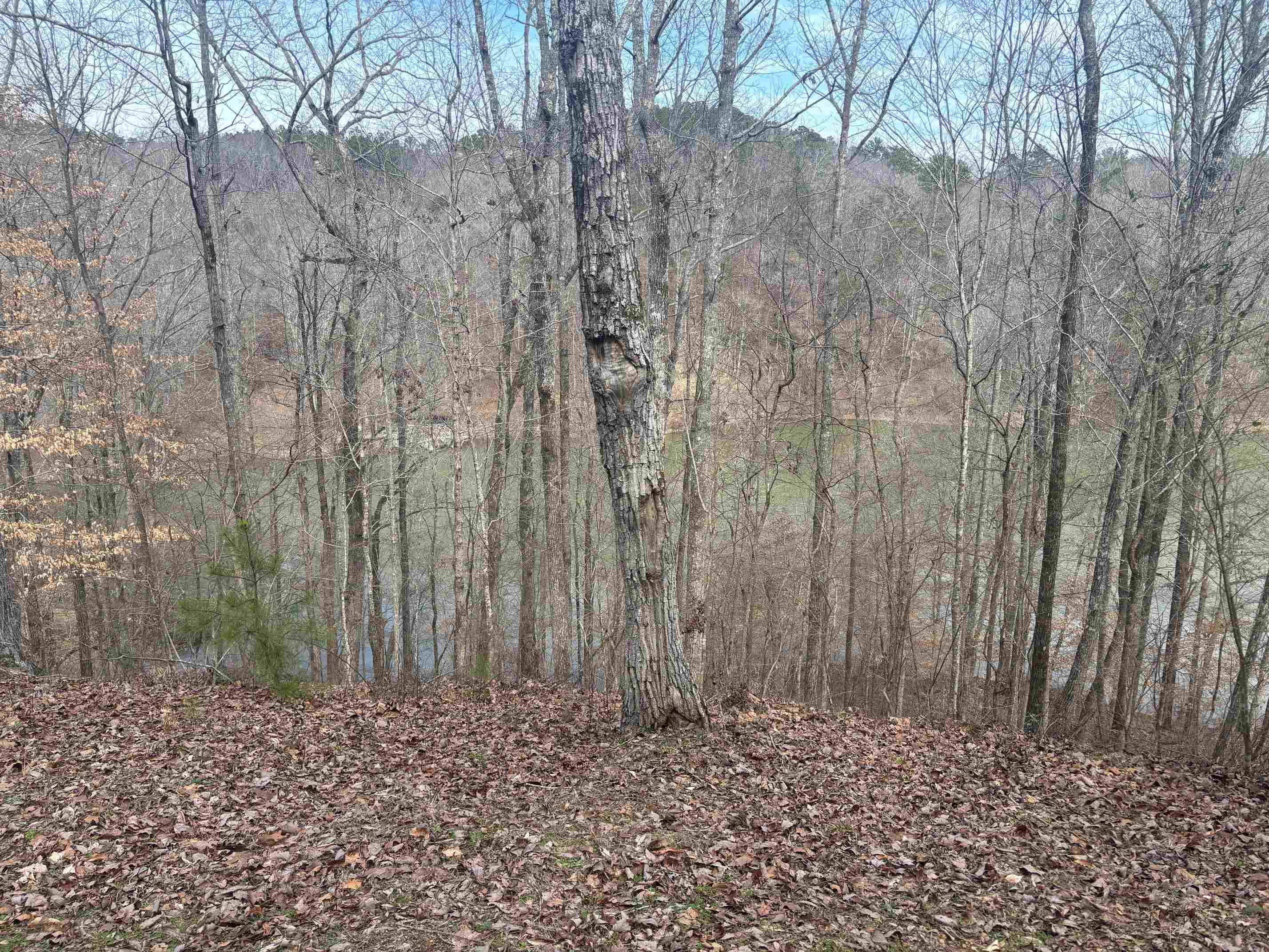 0 Co Rd 373