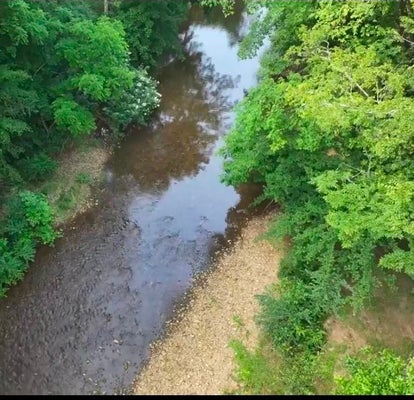 117 WILLOWBROOK DR, FLORENCE, AL 35630 - Image e86d7b7420a03c8aec15474e4c3da624/251494866