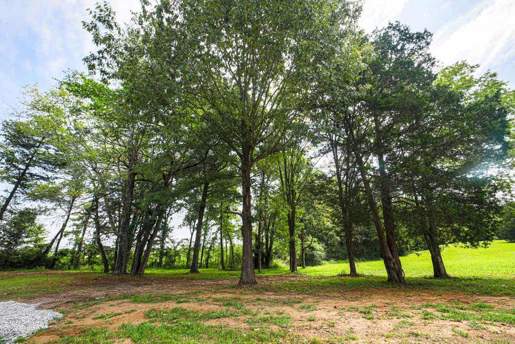 Photo of 1925 Co Rd 139, Florence, AL 35633 (MLS # 530198)