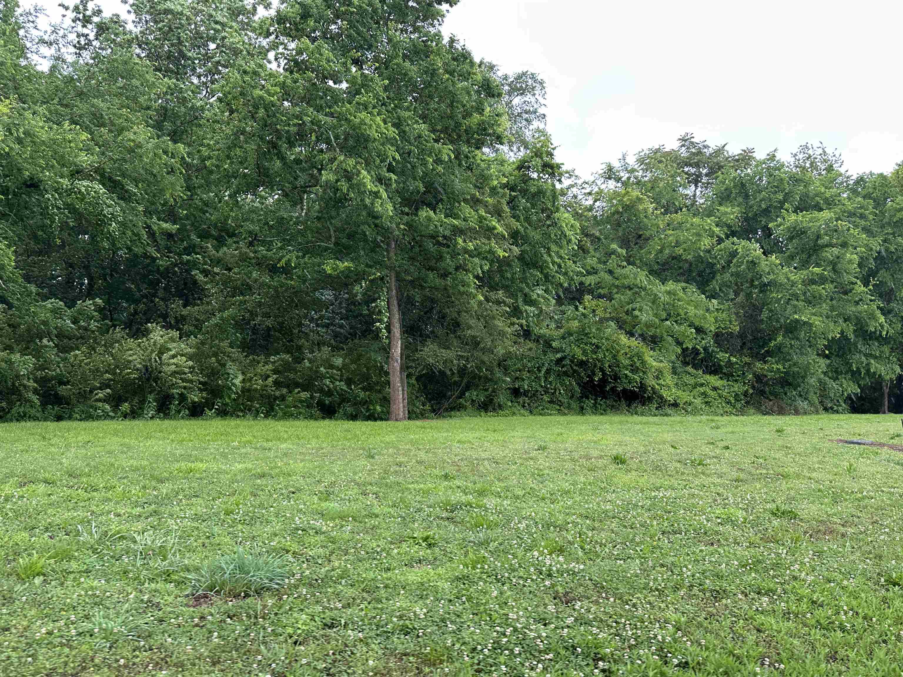 Photo 1 of 5 — Lot 7 Eagle View Dr, Muscle Shoals, AL 35661
