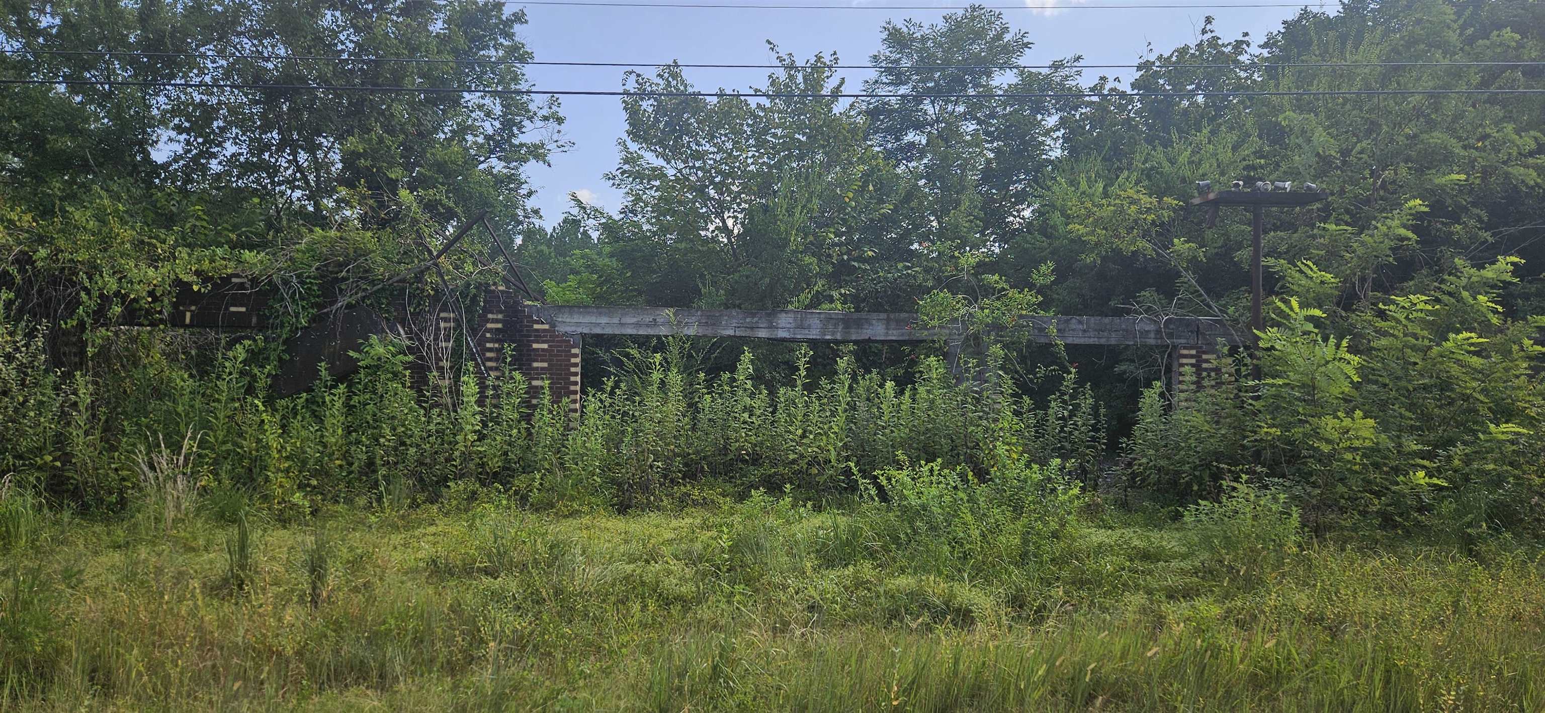 0 Old Lee Hwy 1 - Photo 3