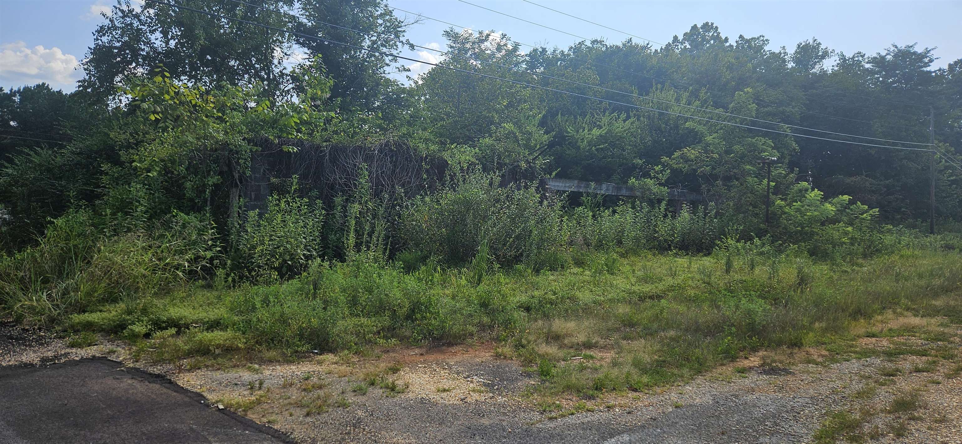 0 Old Lee Hwy 1 - Photo 4