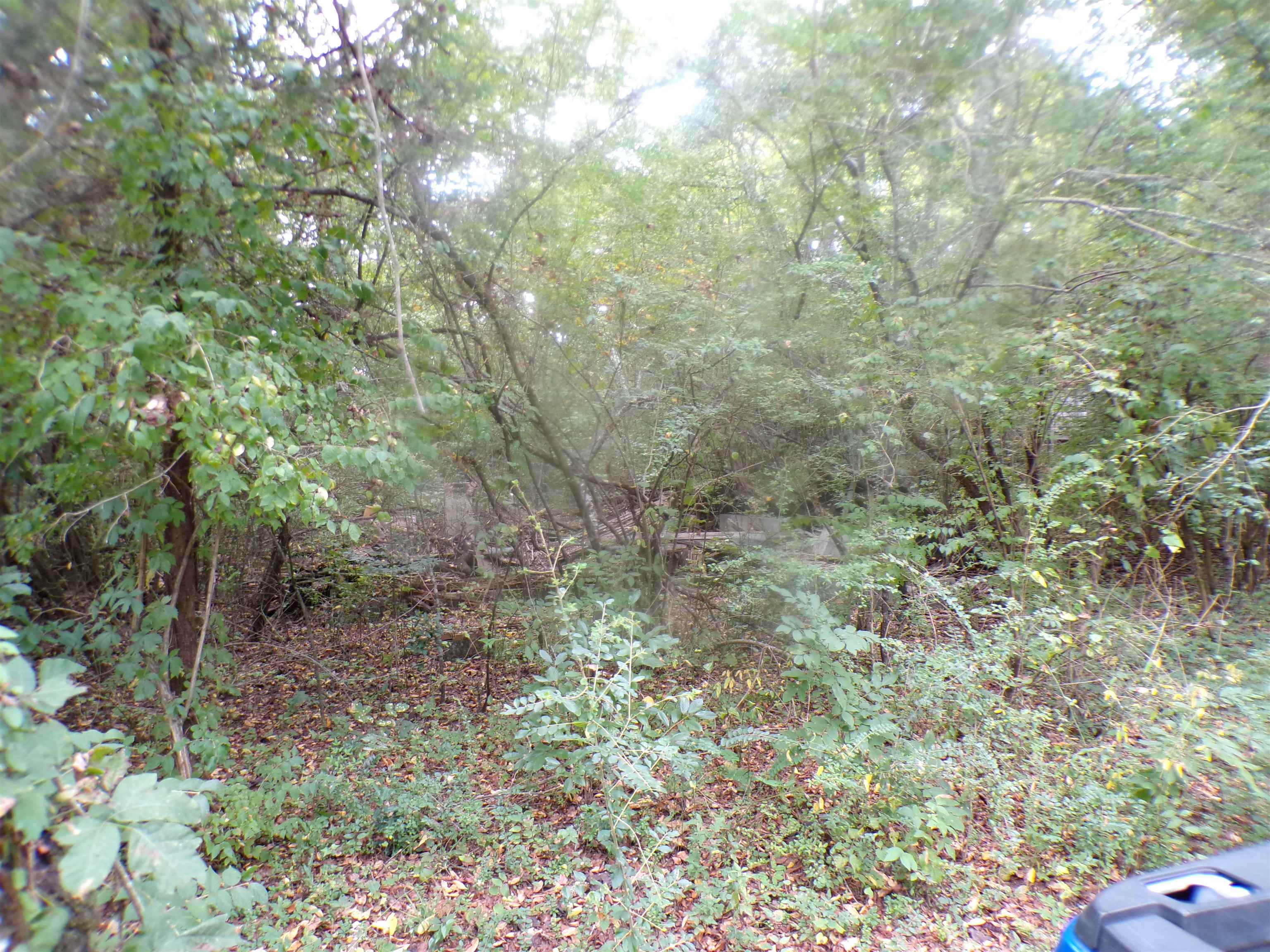 000 Moody Ln - Photo 2