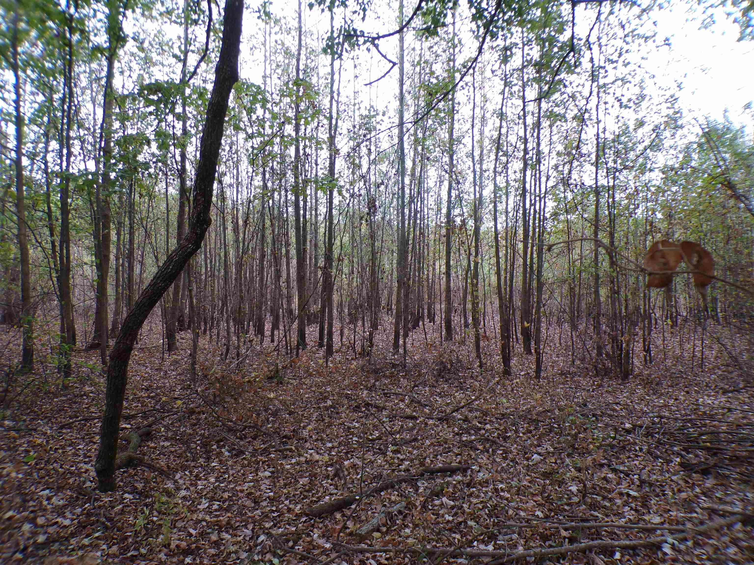 000 Moody Ln - Photo 4