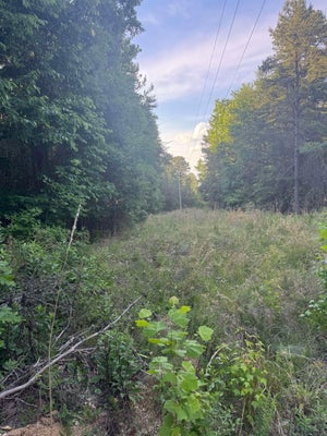 ADDRESS PRIVATE, CHEROKEE, AL 35616 - Image ed58a717c92bbed4e4ebe5481904a307/3999108673